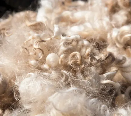 Muestra de Lana de Oveja